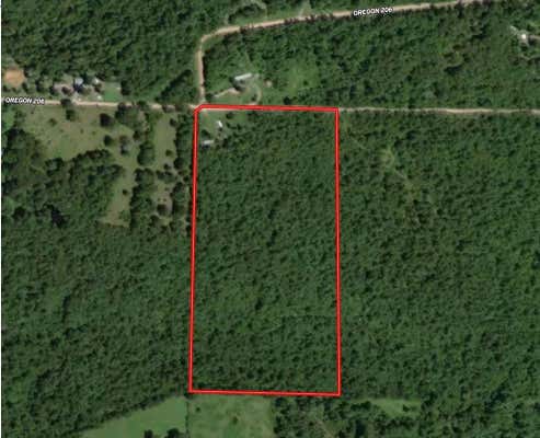 000 E COUNTY ROAD 206, ALTON, MO 65606 - Image 1