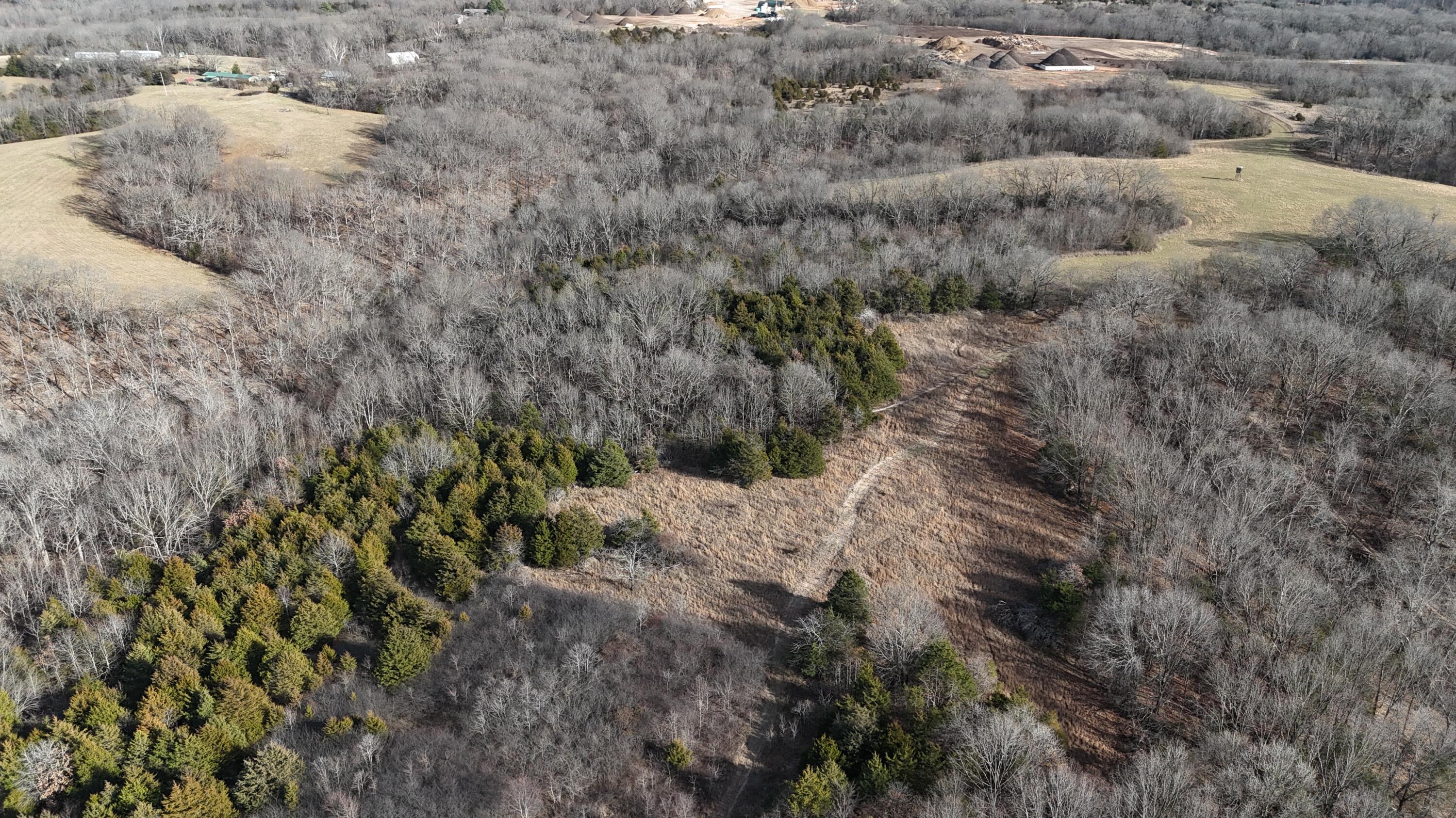 Reeds Spring, Missouri, 65737, United States, 8 Bedrooms Bedrooms, ,6 BathroomsBathrooms,Residential,Active,2010156