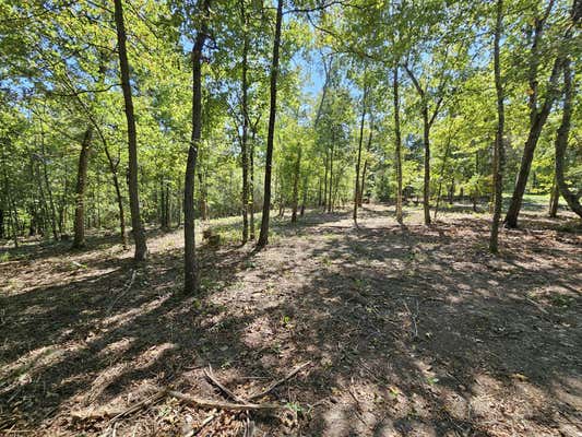 TRACT 4 C CREEKWOOD LANE, ANDERSON, MO 64831, photo 2 of 17