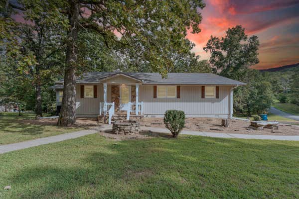 218 N CEDAR DR, BLUE EYE, MO 65611 - Image 1