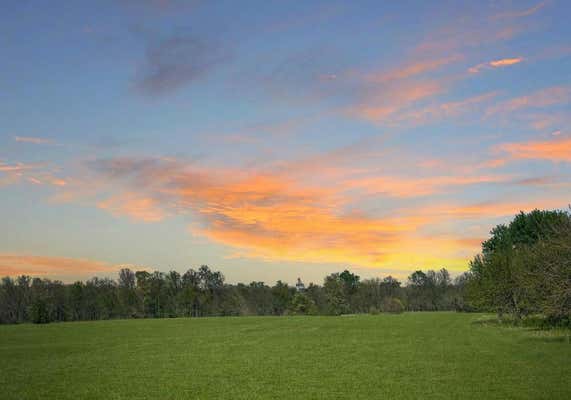 49 M/L HIGHWAY 59, NEOSHO, MO 64850, photo 3 of 9