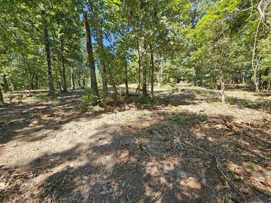 TRACT 4 C CREEKWOOD LANE, ANDERSON, MO 64831, photo 5 of 17