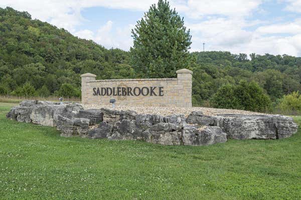 132A SEVEN PINES DR, SADDLEBROOKE, MO 65630 - Image 1