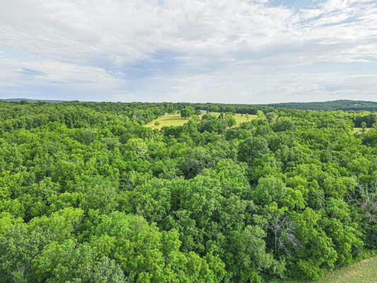 000 COUNTY ROAD 281, CROSS TIMBERS, MO 65634 - Image 1