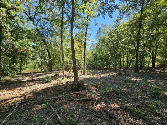 TRACT 4 C CREEKWOOD LANE, ANDERSON, MO 64831, photo 3 of 17