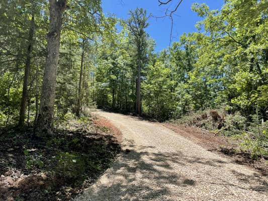 000 COUNTY ROAD V213 - TRACT 4, EMINENCE, MO 65466 - Image 1