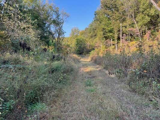 TBD IBEX ROAD, GOODMAN, MO 64843 - Image 1