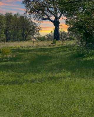 49 M/L HIGHWAY 59, NEOSHO, MO 64850, photo 5 of 9