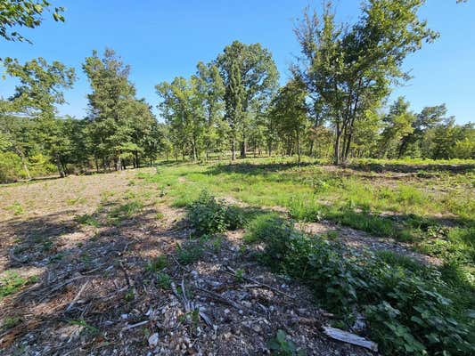 TRACT 3B CREEKWOOD LANE, ANDERSON, MO 64831 - Image 1