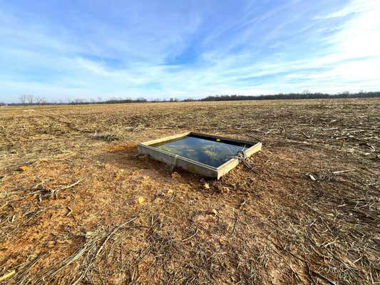 38.8 ACRES ELDER RD ROAD, PIERCE CITY, MO 65723, photo 5 of 21