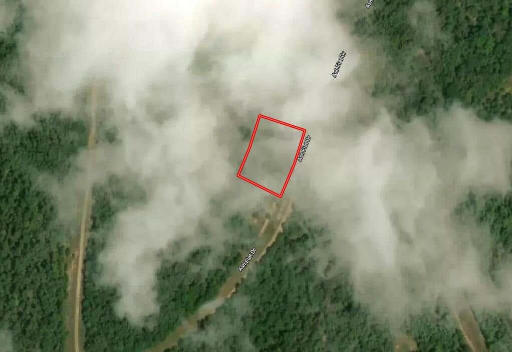 403 ASH FLAT DR Unit 405  