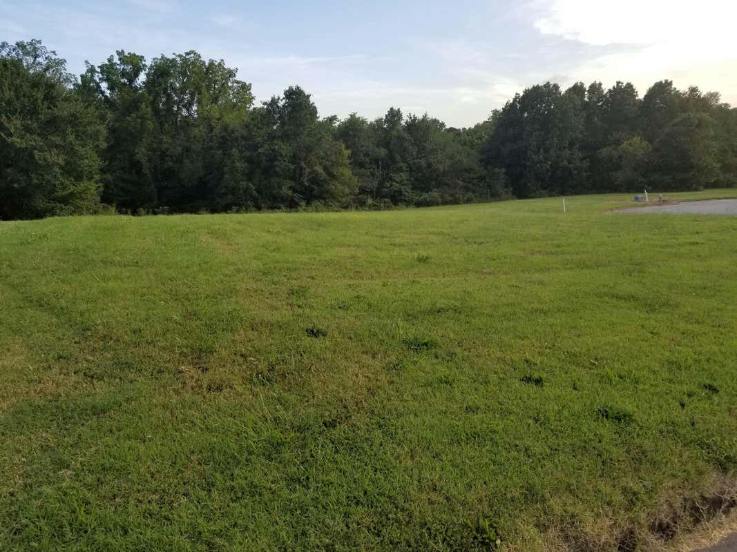 LOT 11 FOX HAVEN DRIVE, MT VERNON, MO 65712, photo 1 of 9