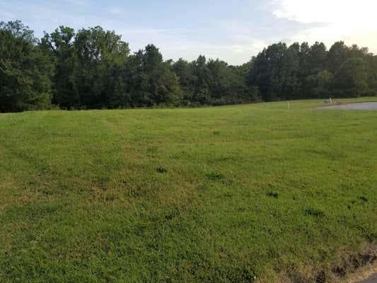 LOT 11 FOX HAVEN DRIVE, MT VERNON, MO 65712 - Image 1