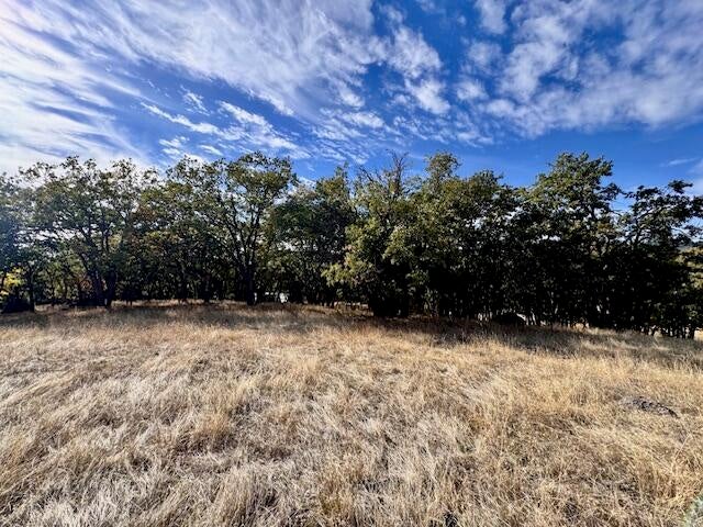 Ashland, Oregon, 97520, United States, 4 Bedrooms Bedrooms, ,4 BathroomsBathrooms,Residential,Active,1999942