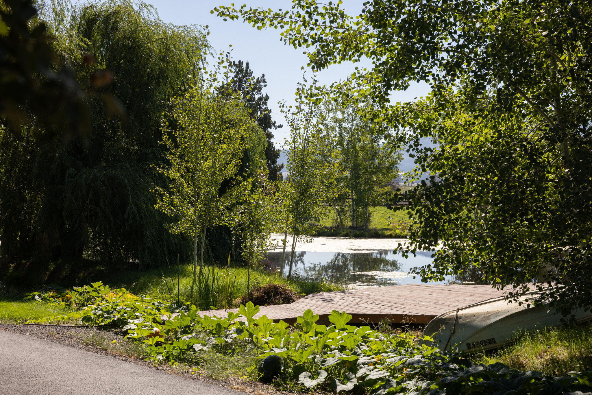 Powell Butte, Oregon, 97753, United States, ,3 BathroomsBathrooms,Residential,Active,1769369