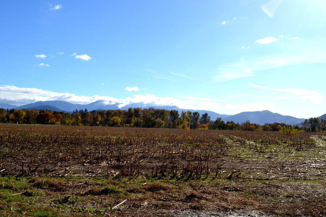 Grants Pass, Oregon, 97526, United States, 4 Bedrooms Bedrooms, ,2 BathroomsBathrooms,Residential,Active,1973303