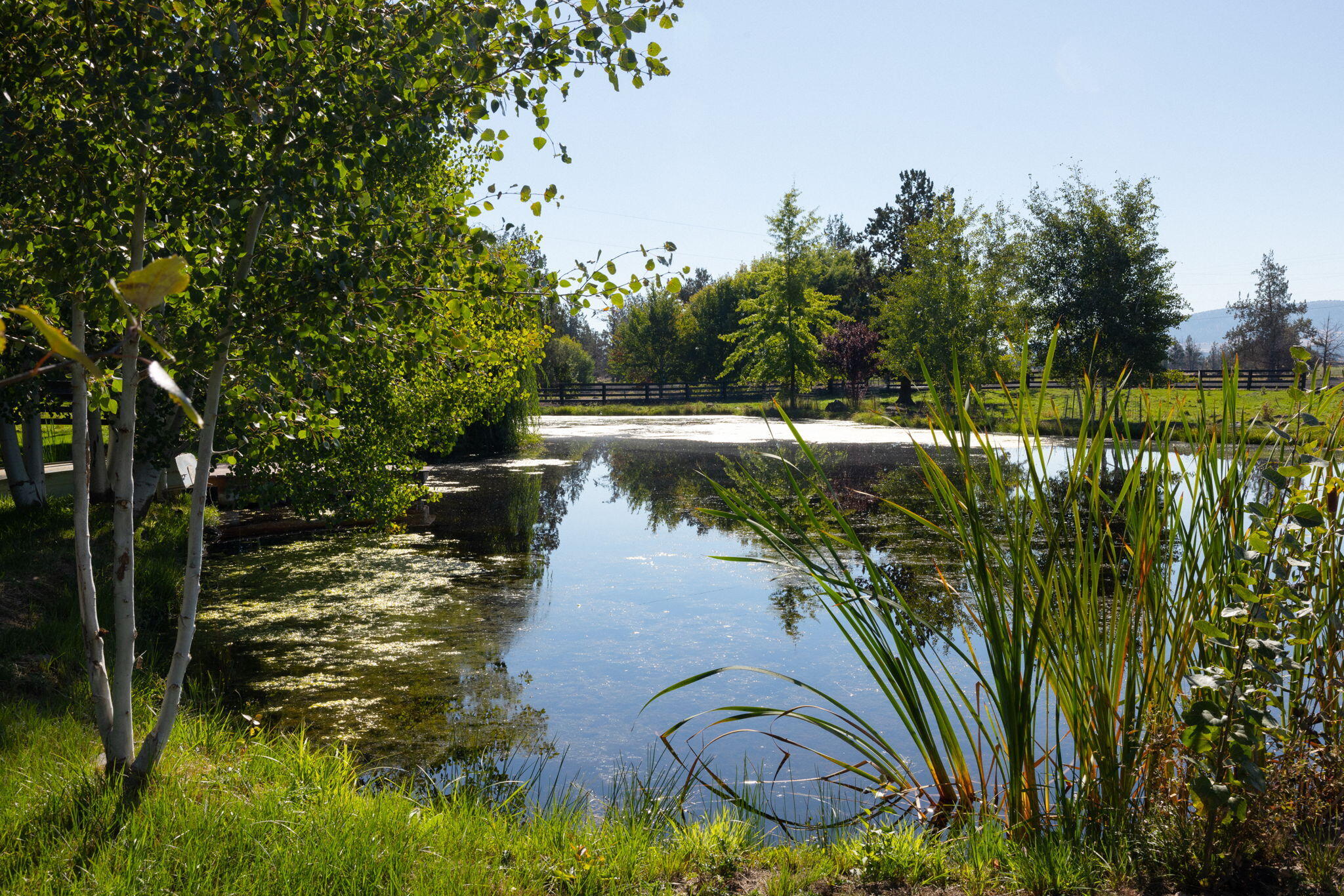 Powell Butte, Oregon, 97753, United States, ,3 BathroomsBathrooms,Residential,Active,1769369