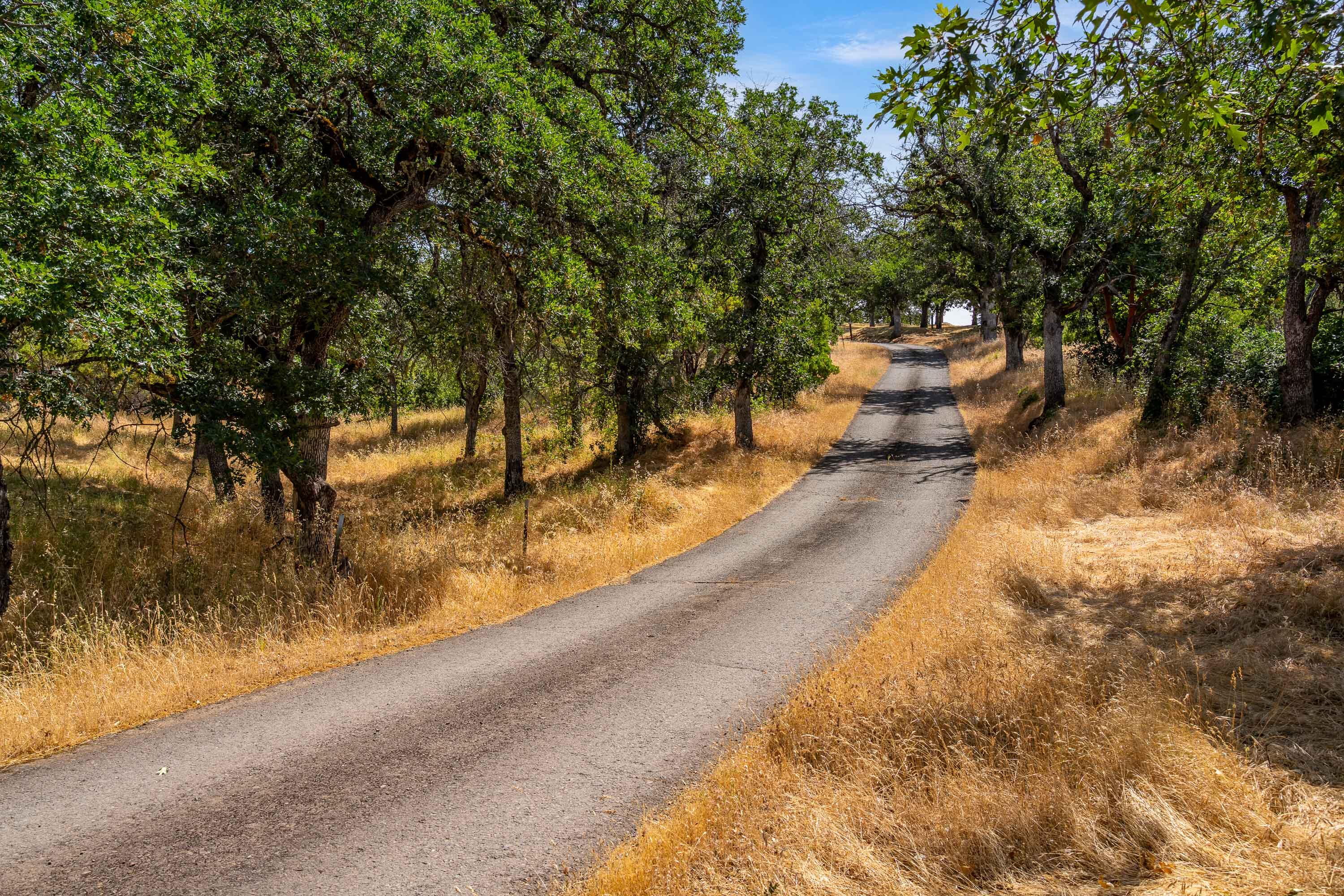 Central Point, Oregon, 97502, United States, 4 Bedrooms Bedrooms, ,4 BathroomsBathrooms,Residential,Active,2006836