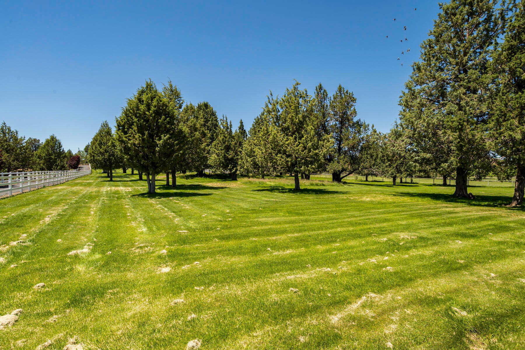 Bend, Oregon, 97702, United States, ,6 BathroomsBathrooms,Residential,Active,1726978