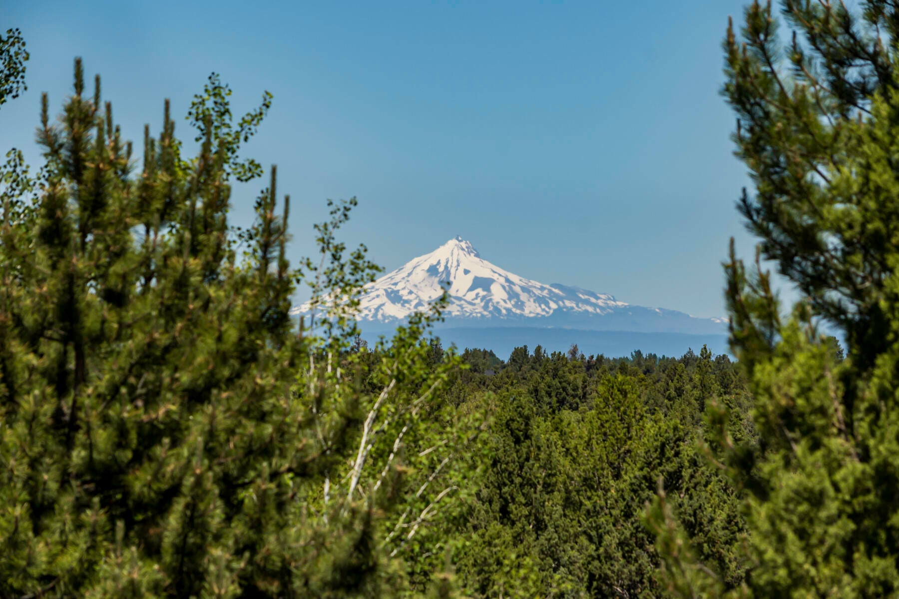 Bend, Oregon, 97702, United States, ,6 BathroomsBathrooms,Residential,Active,1726978