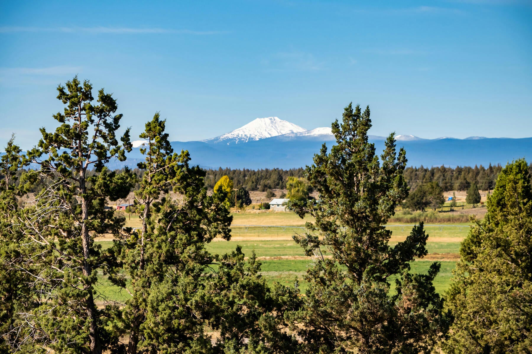 Powell Butte, Oregon, 97753, United States, 4 Bedrooms Bedrooms, ,4 BathroomsBathrooms,Residential,Active,1769979