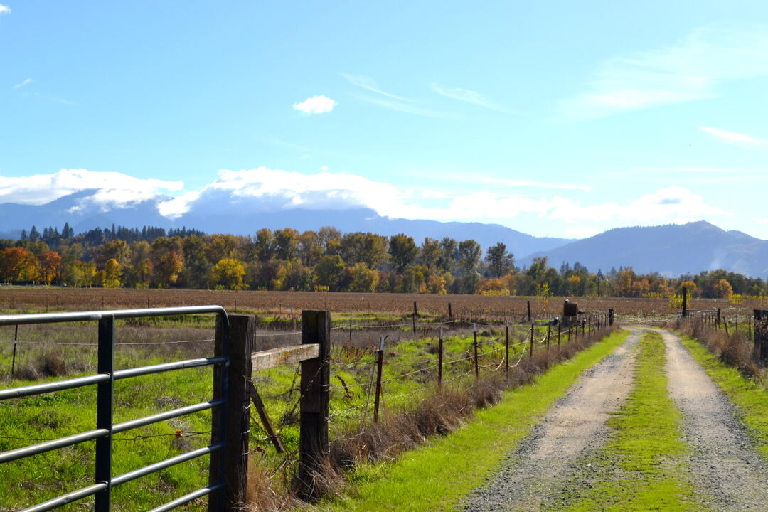 Grants Pass, Oregon, 97526, United States, 4 Bedrooms Bedrooms, ,2 BathroomsBathrooms,Residential,Active,1973303