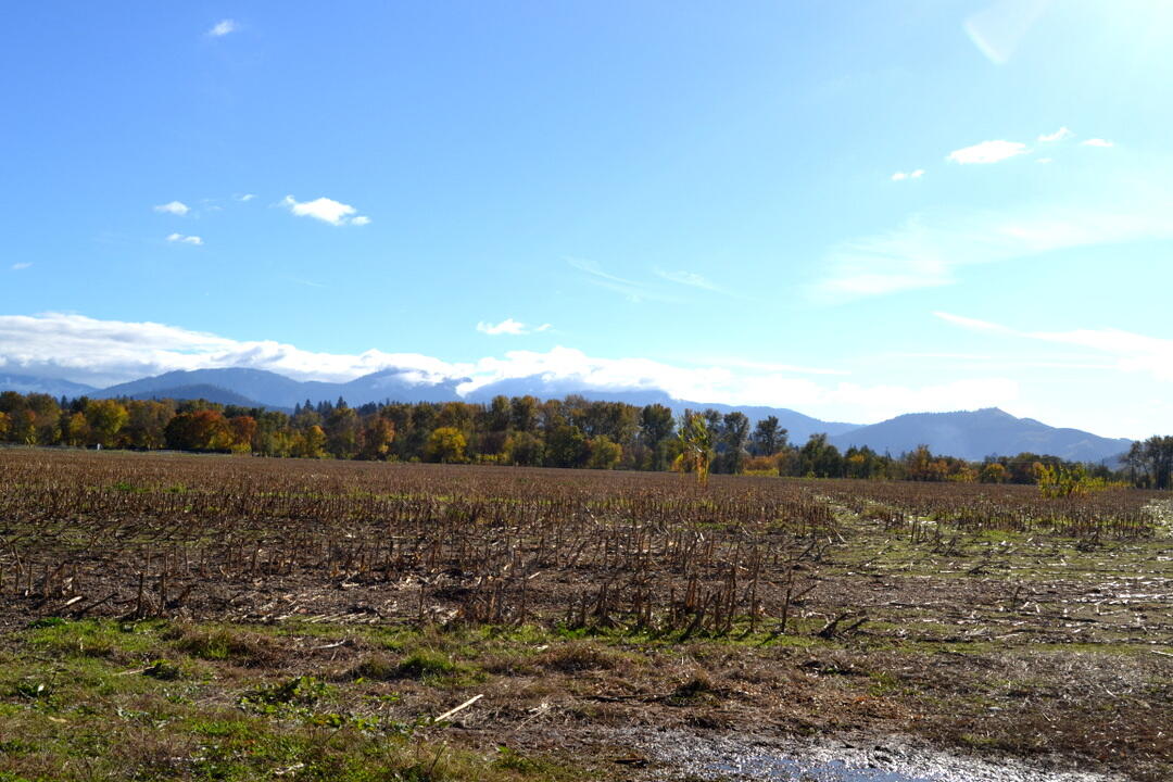 Grants Pass, Oregon, 97526, United States, 4 Bedrooms Bedrooms, ,2 BathroomsBathrooms,Residential,Active,1973303
