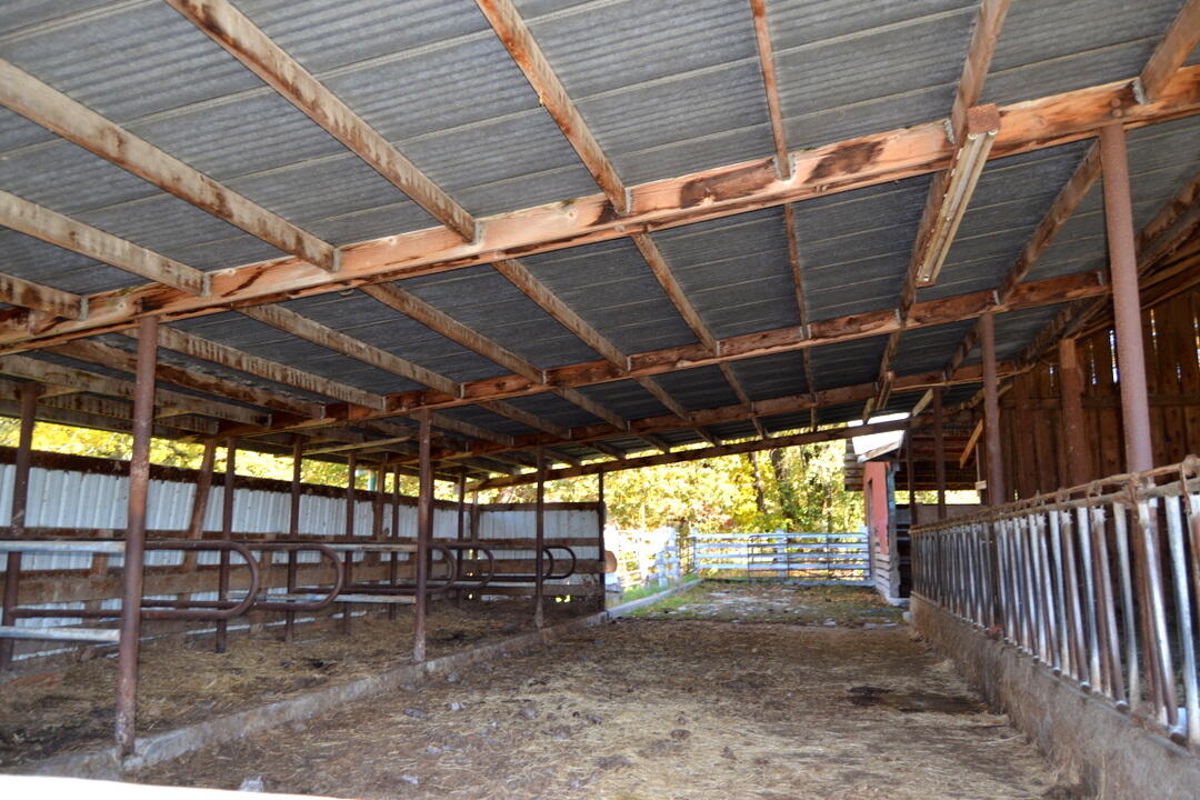 Grants Pass, Oregon, 97526, United States, 4 Bedrooms Bedrooms, ,2 BathroomsBathrooms,Residential,Active,1973303