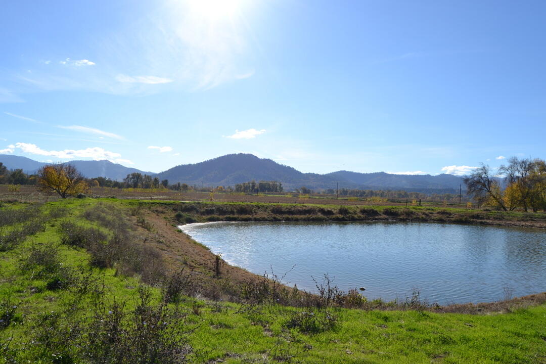 Grants Pass, Oregon, 97526, United States, 4 Bedrooms Bedrooms, ,2 BathroomsBathrooms,Residential,Active,1973303