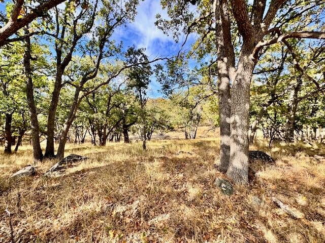 Ashland, Oregon, 97520, United States, 4 Bedrooms Bedrooms, ,4 BathroomsBathrooms,Residential,Active,1999942