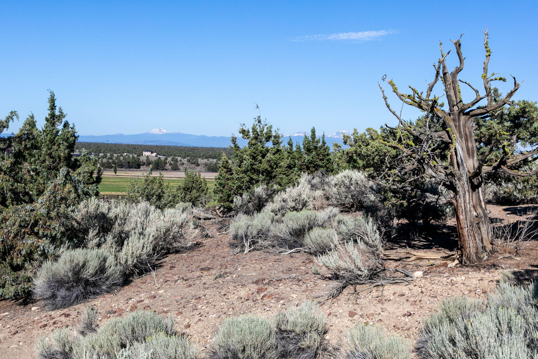 Powell Butte, Oregon, 97753, United States, 3 Bedrooms Bedrooms, ,3 BathroomsBathrooms,Residential,Active,1884879