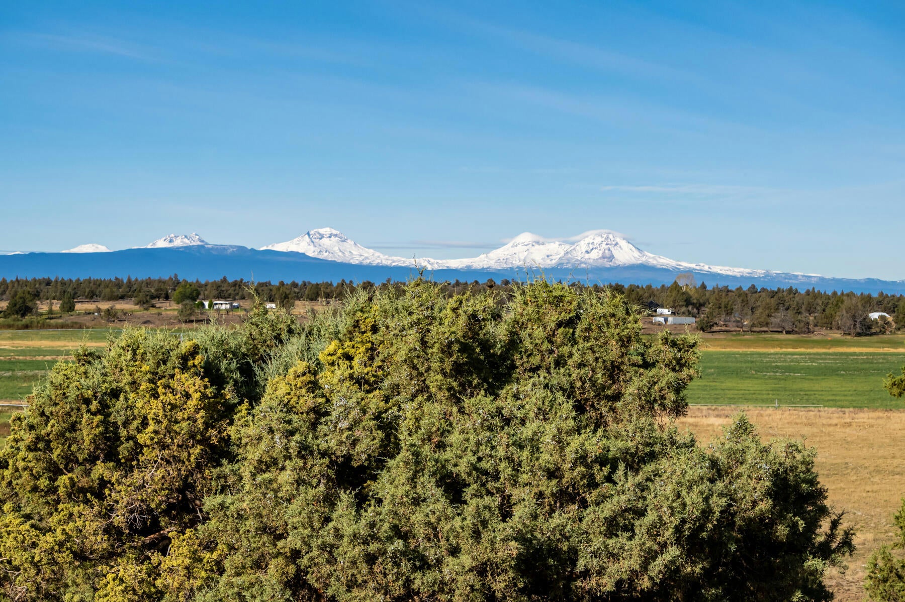 Powell Butte, Oregon, 97753, United States, 4 Bedrooms Bedrooms, ,4 BathroomsBathrooms,Residential,Active,1769979