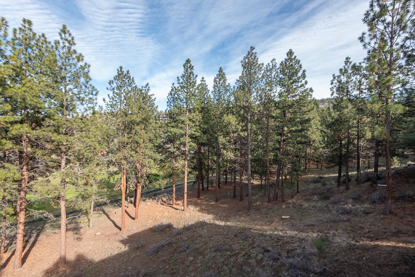 Bend, Oregon, 97703, United States, 3 Bedrooms Bedrooms, ,2 BathroomsBathrooms,Residential,Active,1781622