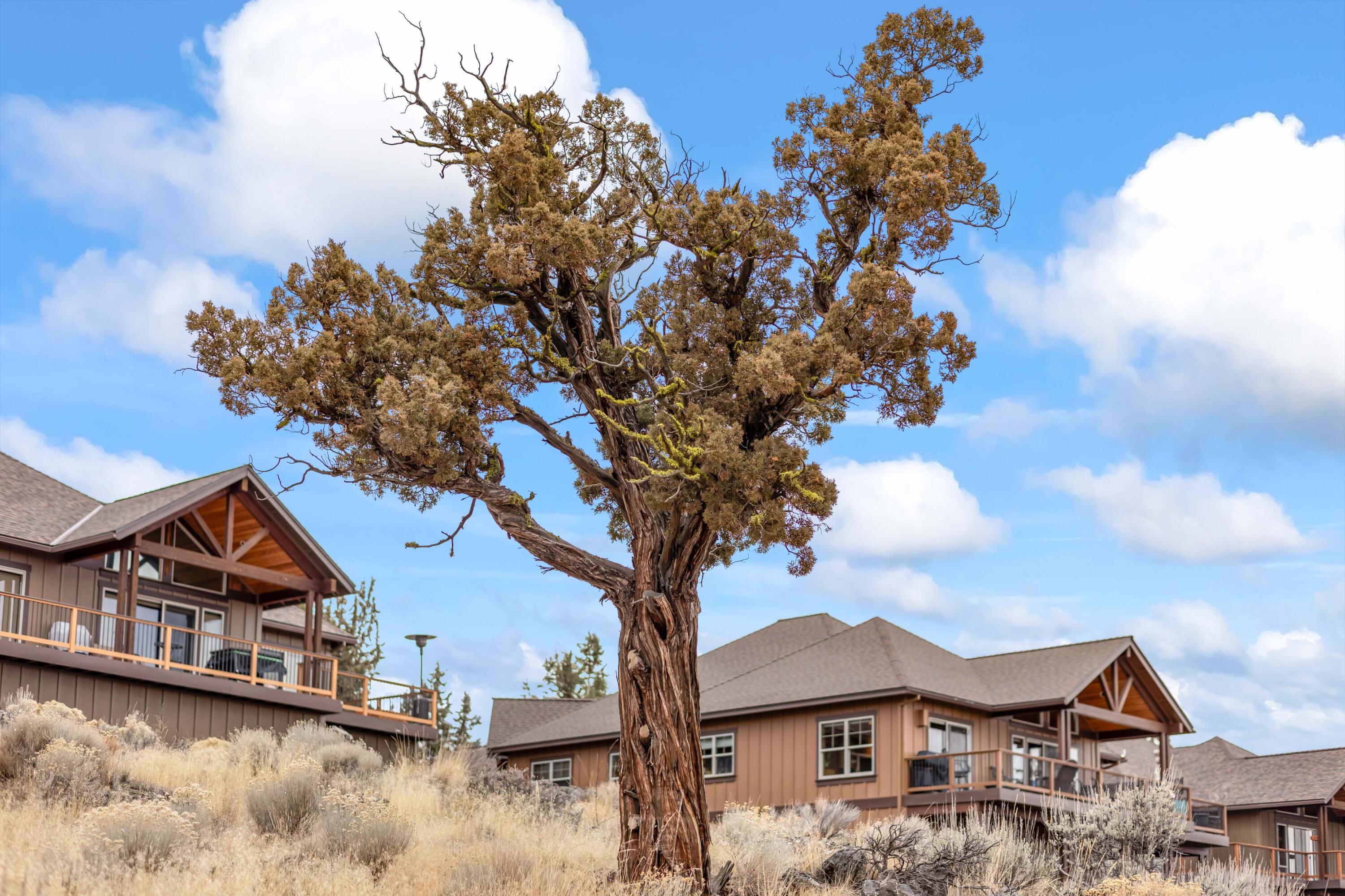 Redmond, Oregon, 97756, United States, 3 Bedrooms Bedrooms, ,4 BathroomsBathrooms,Residential,Active,2002359