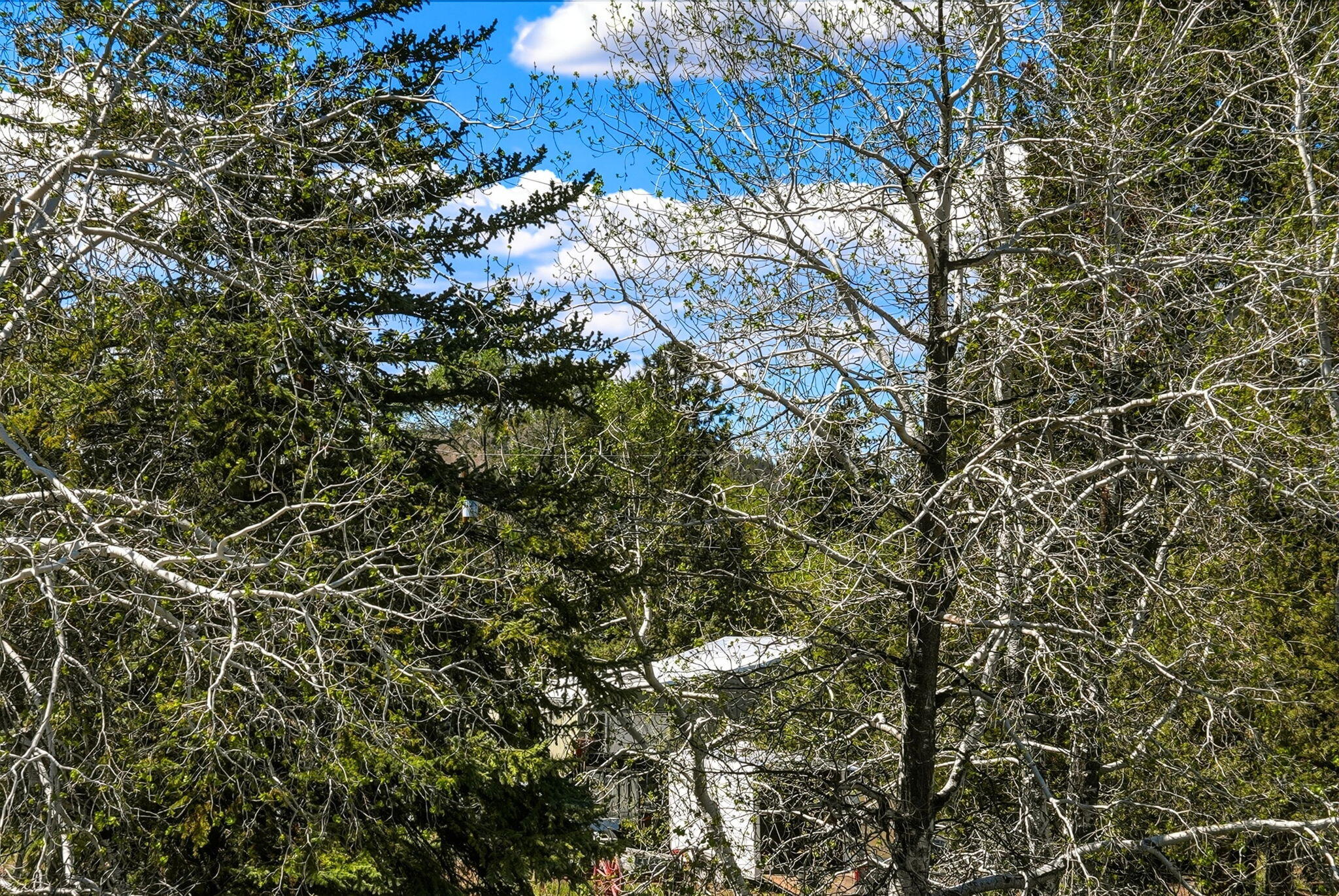 Bend, Oregon, 97702, United States, 3 Bedrooms Bedrooms, ,5 BathroomsBathrooms,Residential,Active,2045021