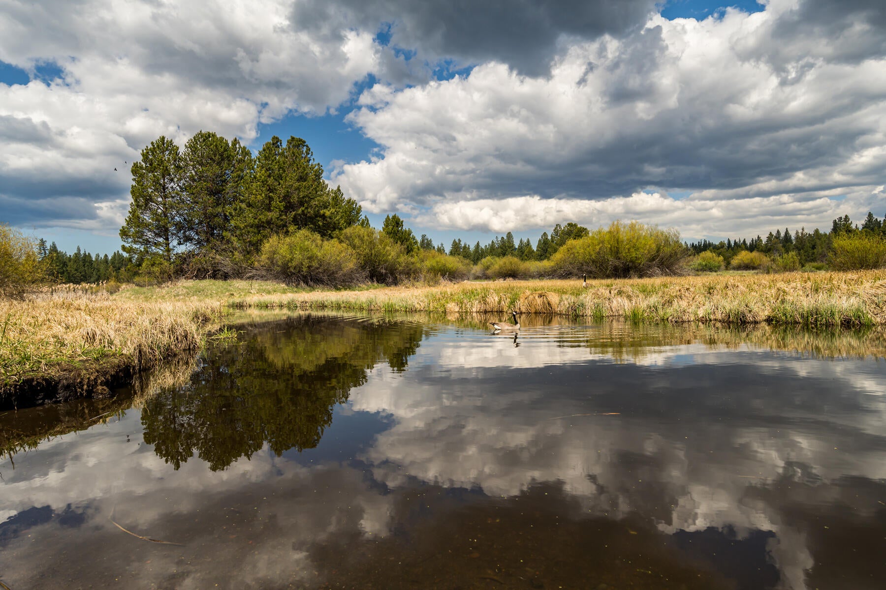 Bend, Oregon, 97707, United States, 5 Bedrooms Bedrooms, ,5 BathroomsBathrooms,Residential,Active,2044562