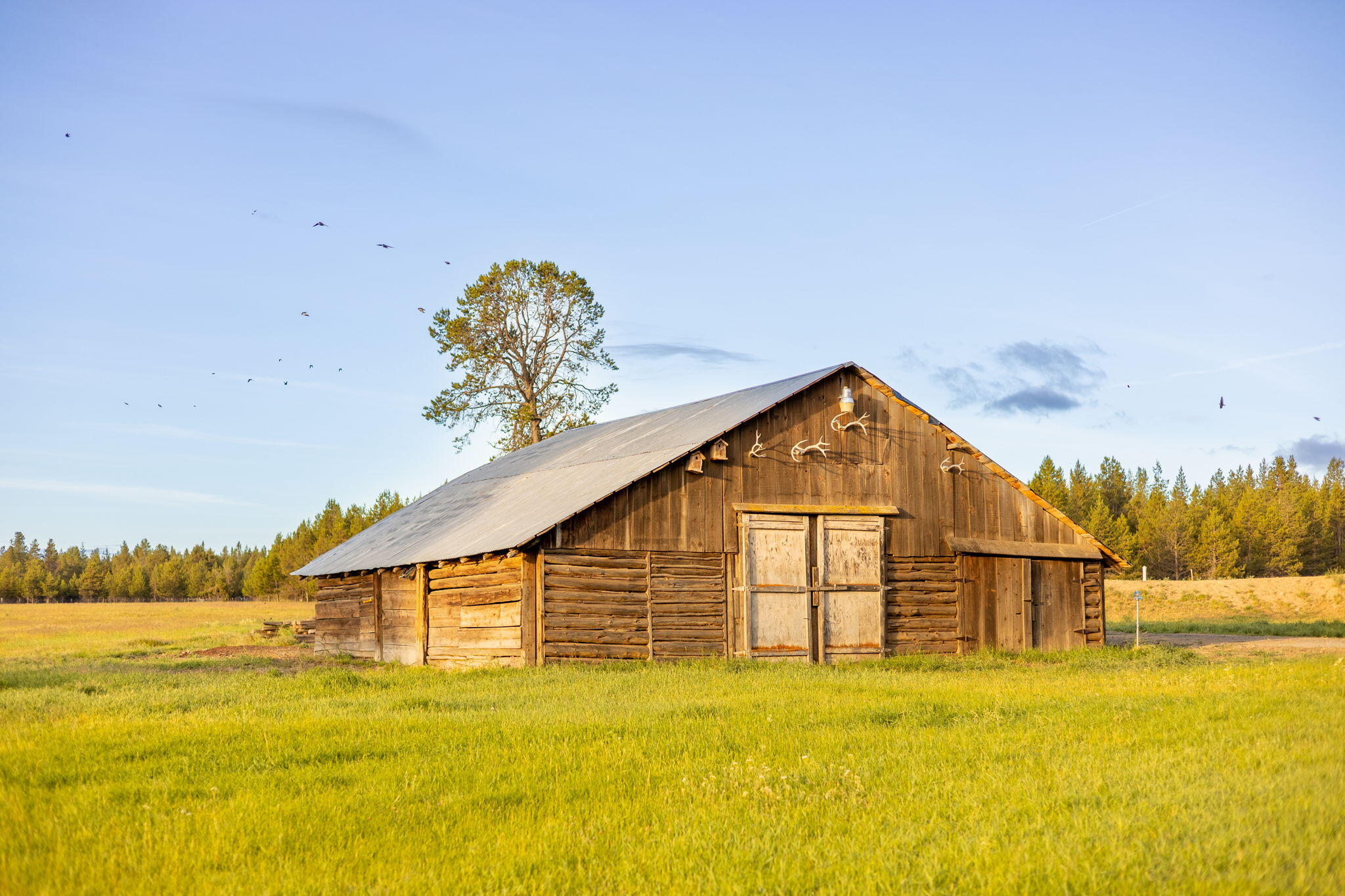 Bend, Oregon, 97707, United States, 3 Bedrooms Bedrooms, ,3 BathroomsBathrooms,Residential,Active,1880197