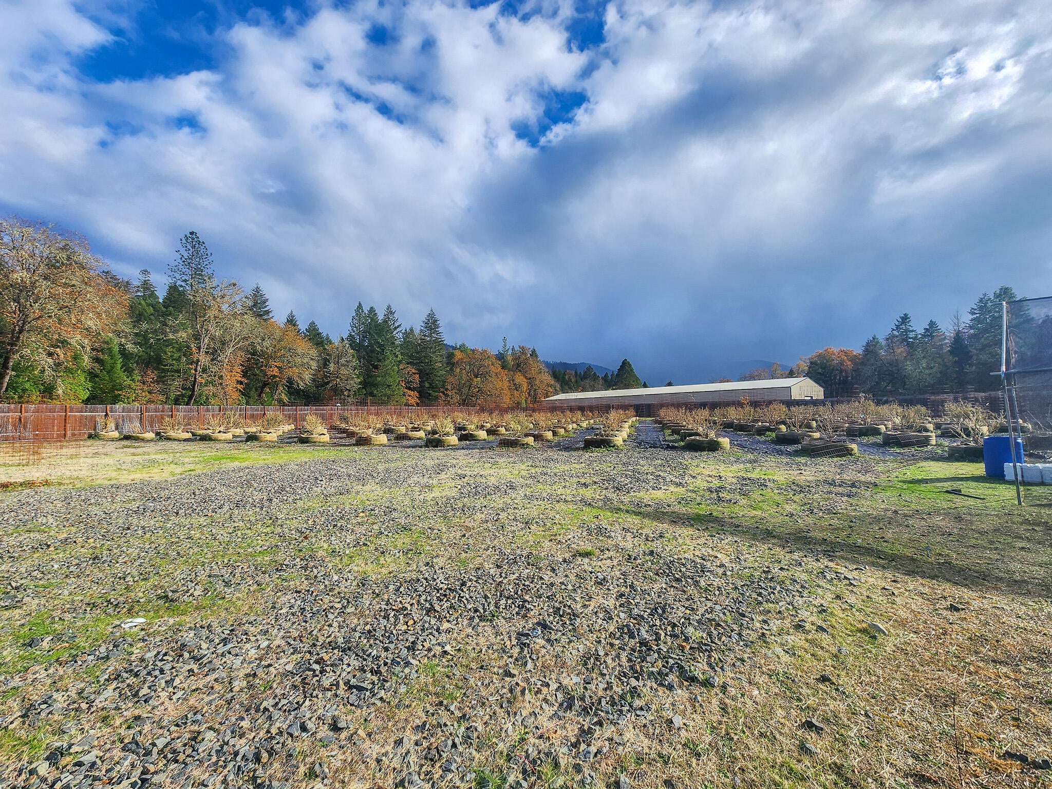 Selma, Oregon, 97538, United States, 3 Bedrooms Bedrooms, ,2 BathroomsBathrooms,Residential,Active,1909861