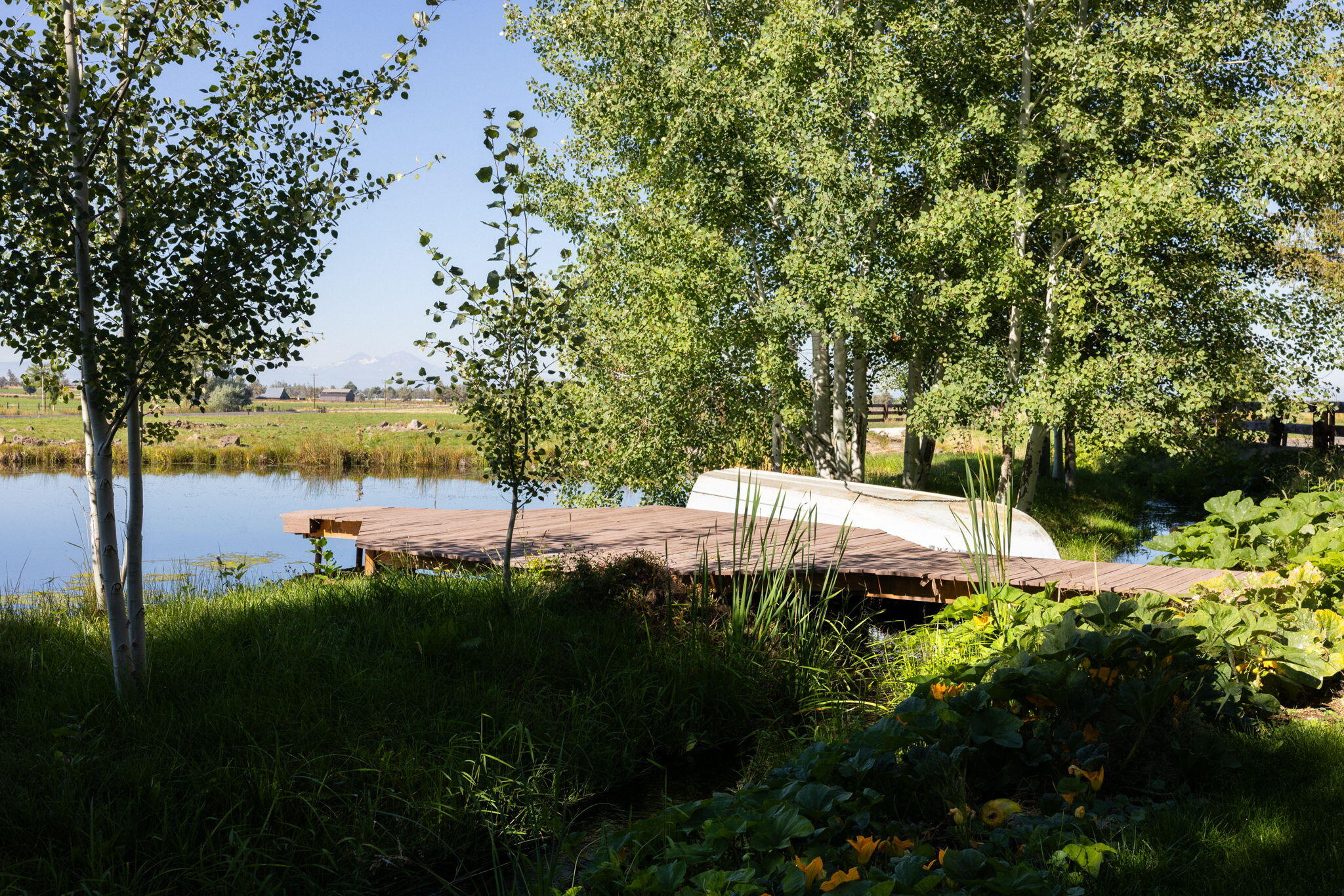 Powell Butte, Oregon, 97753, United States, ,3 BathroomsBathrooms,Residential,Active,1769369