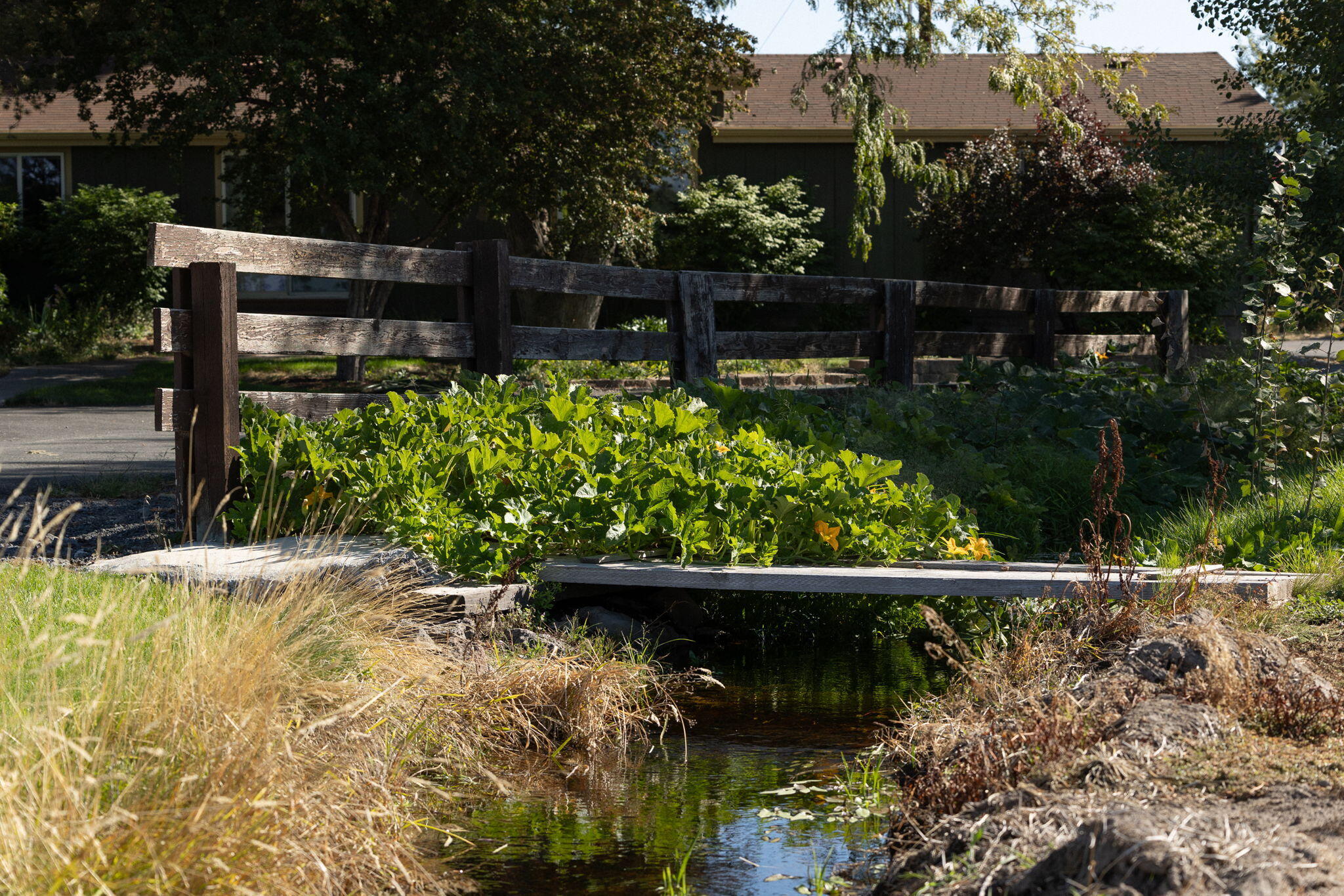 Powell Butte, Oregon, 97753, United States, ,3 BathroomsBathrooms,Residential,Active,1769369
