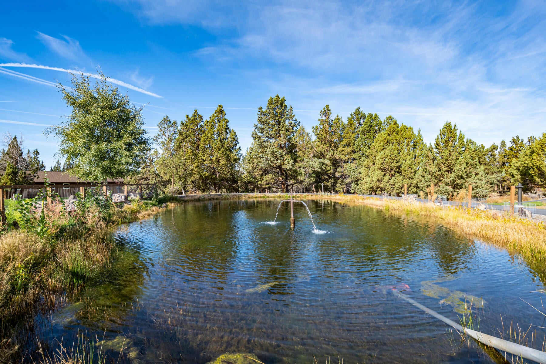 Powell Butte, Oregon, 97753, United States, 4 Bedrooms Bedrooms, ,4 BathroomsBathrooms,Residential,Active,1769979