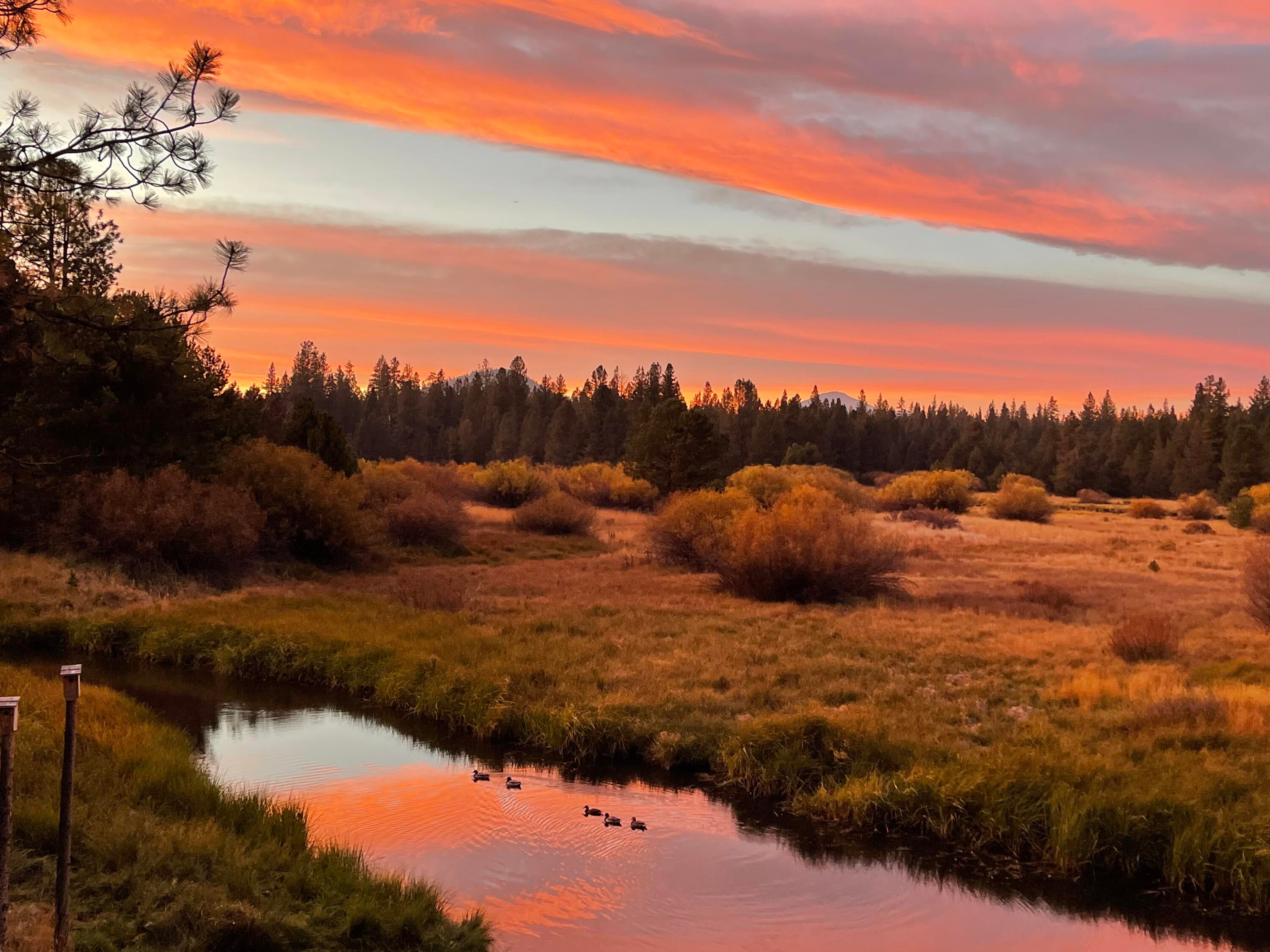 Bend, Oregon, 97707, United States, 5 Bedrooms Bedrooms, ,5 BathroomsBathrooms,Residential,Active,2044562