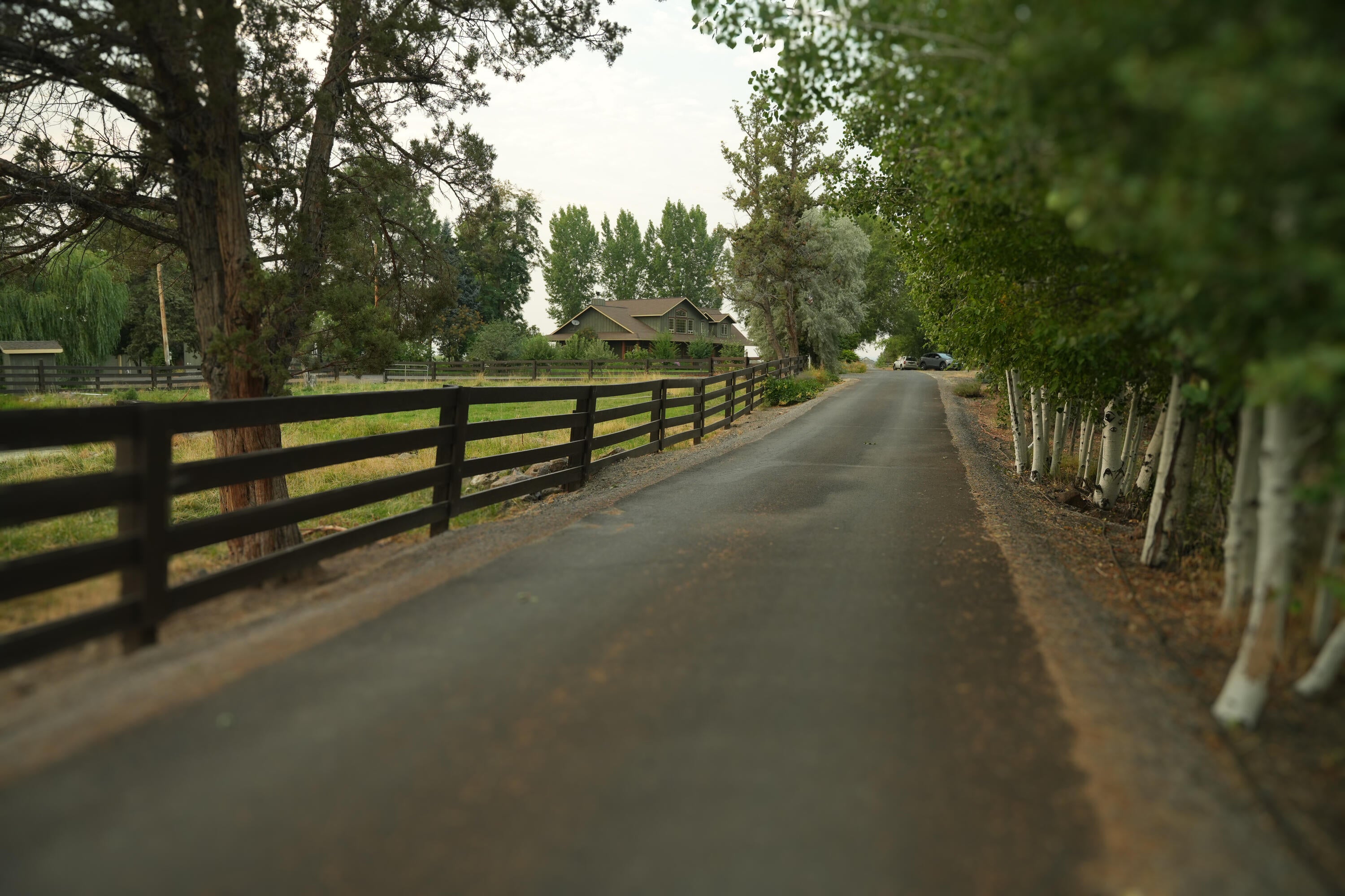 Powell Butte, Oregon, 97753, United States, ,3 BathroomsBathrooms,Residential,Active,1769369
