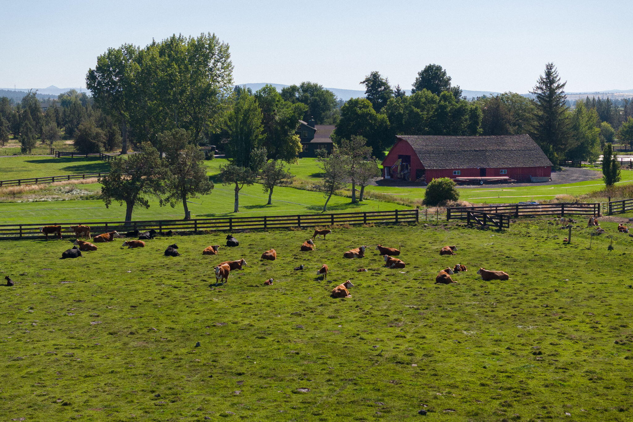 Powell Butte, Oregon, 97753, United States, ,3 BathroomsBathrooms,Residential,Active,1769369