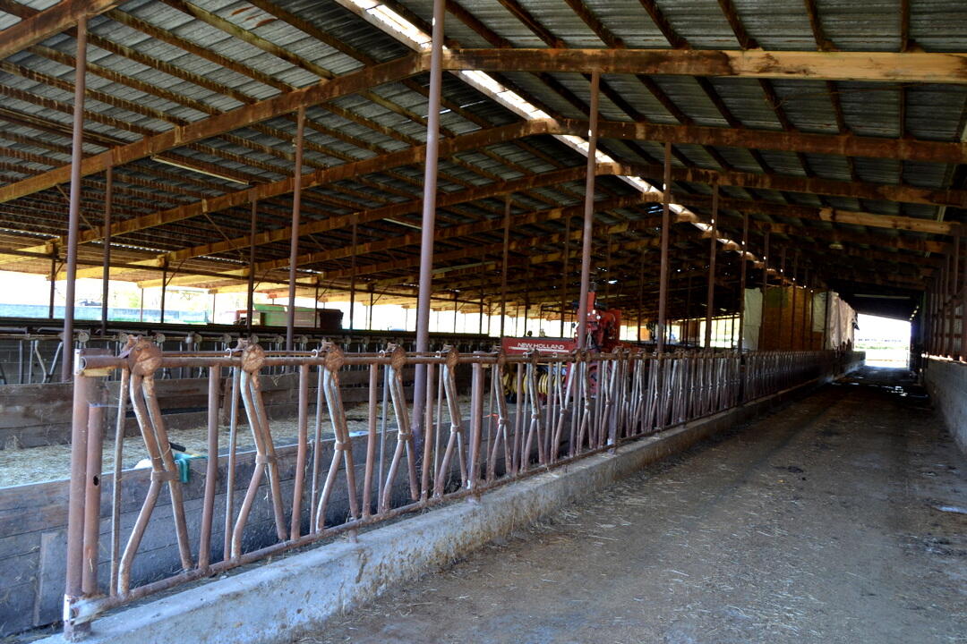 Grants Pass, Oregon, 97526, United States, 4 Bedrooms Bedrooms, ,2 BathroomsBathrooms,Residential,Active,1973303