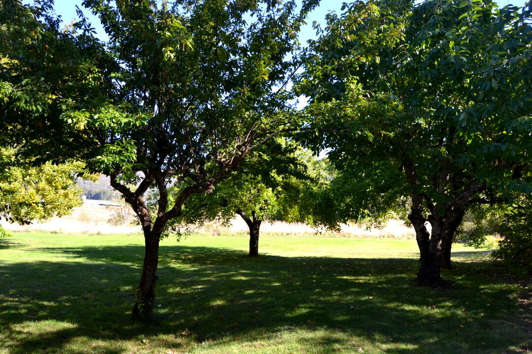 Applegate, Oregon, 97530, United States, 4 Bedrooms Bedrooms, ,3 BathroomsBathrooms,Residential,Active,1963259