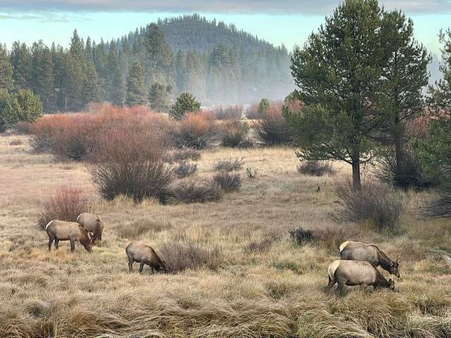 Bend, Oregon, 97707, United States, 5 Bedrooms Bedrooms, ,5 BathroomsBathrooms,Residential,Active,2044562