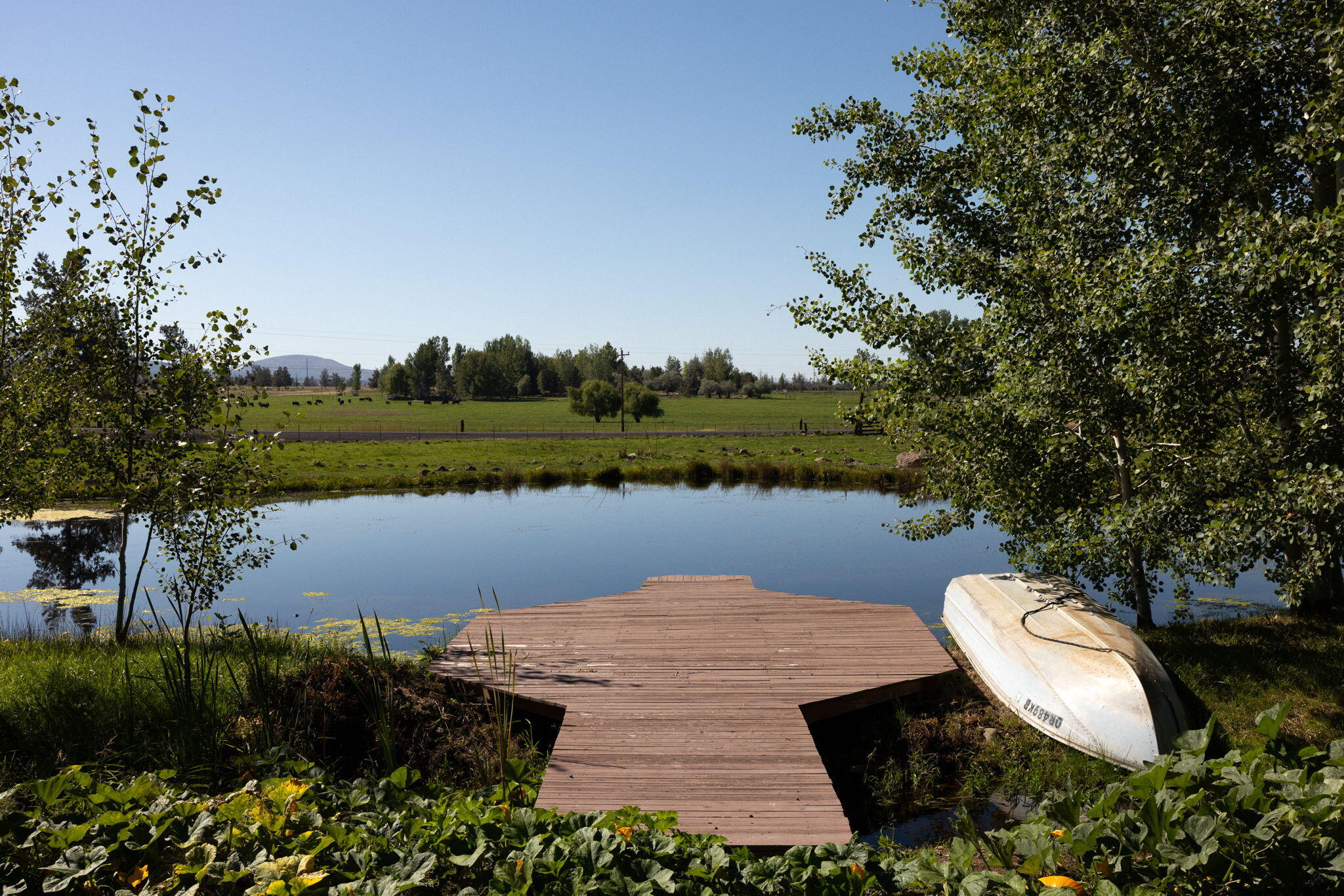 Powell Butte, Oregon, 97753, United States, ,3 BathroomsBathrooms,Residential,Active,1769369