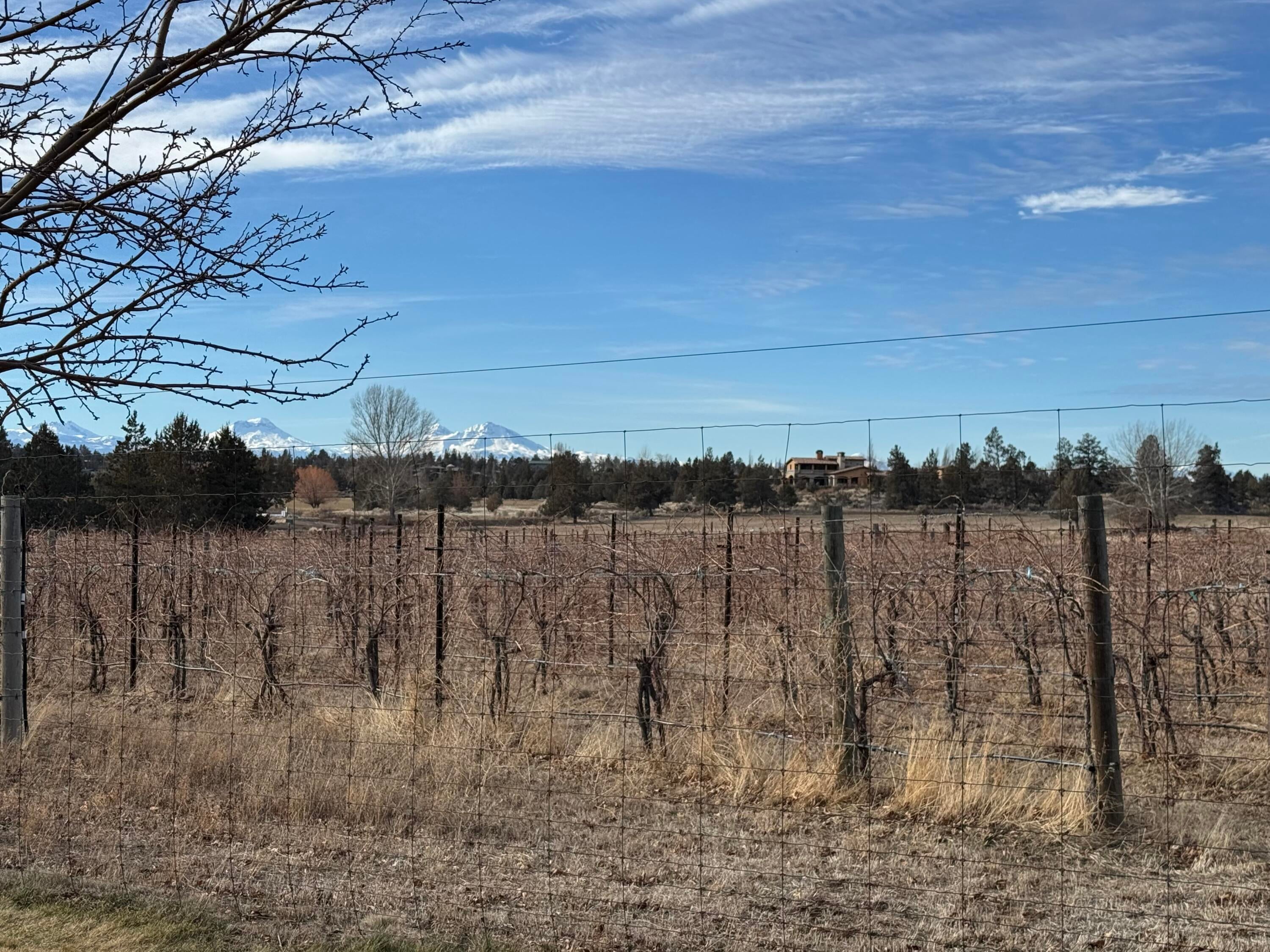 Terrebonne, Oregon, 97760, United States, 5 Bedrooms Bedrooms, ,5 BathroomsBathrooms,Residential,Active,1747251