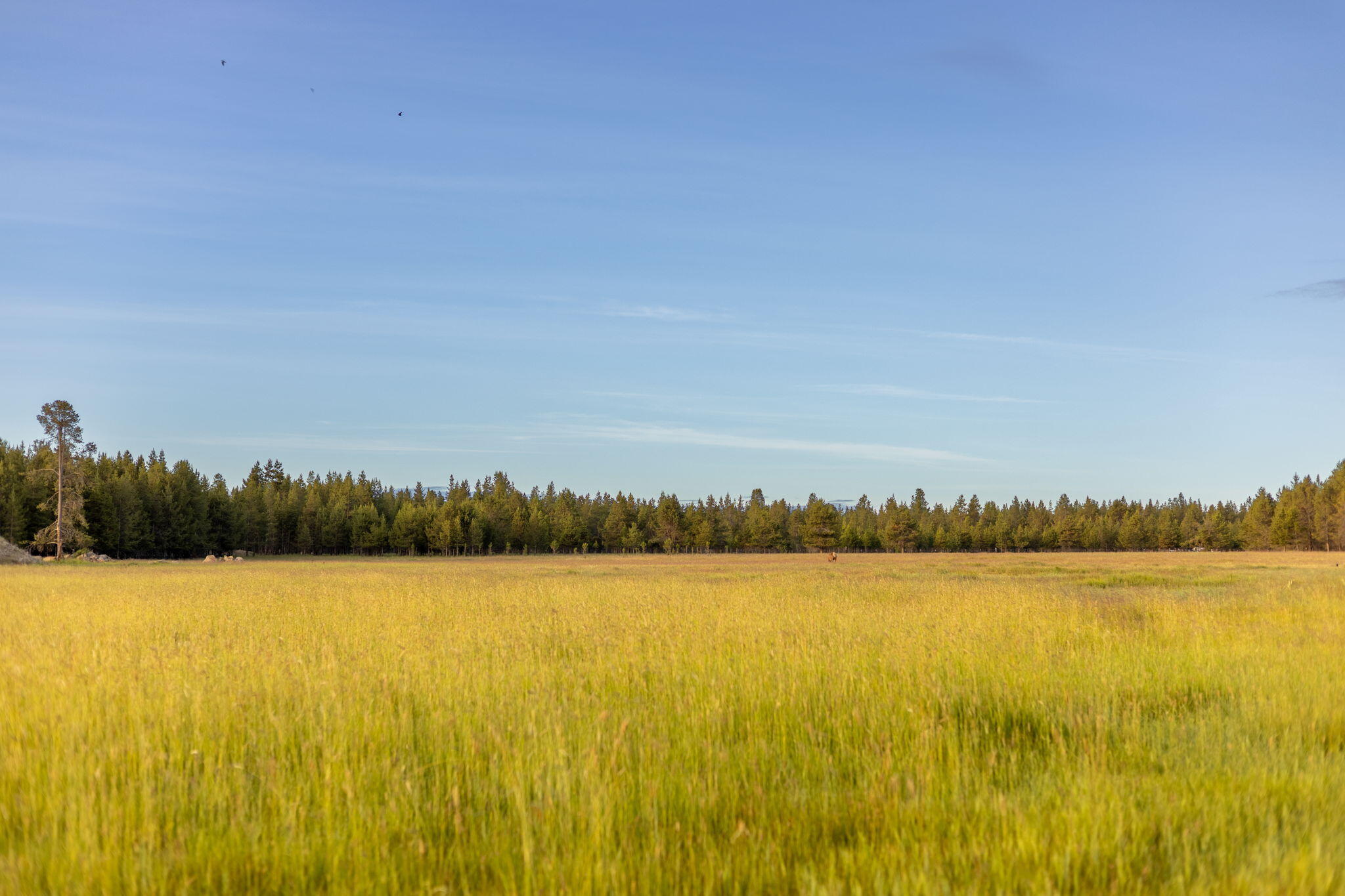 Bend, Oregon, 97707, United States, 3 Bedrooms Bedrooms, ,3 BathroomsBathrooms,Residential,Active,1880197